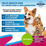 Load image into Gallery viewer, Cat & Dog UTI Treatment Drops Cranberry Urinary Support