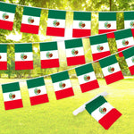 Load image into Gallery viewer, Mexico Mexican Bunting Banner Flag 8.2 x 5.5 Inch, Full String 33 Feet Printed 150D Polyester, Decorations For Bar, School, Festival Events Celebration