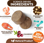 Load image into Gallery viewer, 2 Pack Turkey Tail Mushroom for Dogs 340 Chews Lion’s Mane Shiitake Reishi Buddy Immune Support Guard Mushroom Supplement for Dogs with Glucosamine, Health Vitamins Multivitamin