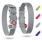Load image into Gallery viewer, WAUDOG Long Lasting Leather Dog Collar for Large Dogs Medium & Small Dogs