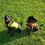 Load image into Gallery viewer, Lite Dog Vest Chest Size 42 Inch Neck Size 21.75 inch Coverage to Mid Back XL