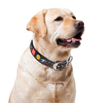 Load image into Gallery viewer, Design Leather Dog Collar for Puppy Small Medium and Large Dogs NASA Leather Buckle Dog Collar Boy & Girl Leather Dog Collar (8 11 Neck 1 2 Wide Black)