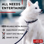 Load image into Gallery viewer, Ultra Soft Rolled Leather Dog Collar 8-10 inch for Small Dogs Soft Padded Dog Collars for Medium Dogs Puppy Collars for Large Breed Dogs Male and Female Dog Collar