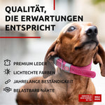 Load image into Gallery viewer, WAUDOG Long Lasting Leather Dog Collar for Large Dogs Medium & Small Dogs Adjustable Classic Puppy Collars for Large Breed Dogs Boy & Girl Dog Collars with Durable Buckle D Ring & QR Dog Tag