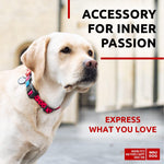 Load image into Gallery viewer, Nylon Dog Collar Adjustable for Large Dogs 1219 inch Neck x 1 inch Watermelon