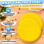Load image into Gallery viewer, 12 Pcs Pottery Sponges for Clay – 2.8 x1 Pottery Sponge for Painting Car Waxing Washing Dishes & Ceramic Care Tack Sponges for Cleaning Leather – Durable Texture for Efficient Sculpting & Cleanup