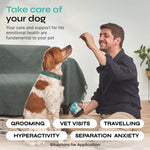 Load image into Gallery viewer, Calming Chews for Dogs Hemp Calming Chews for Dog Anxiety Relief Dog Calming Treats Anxiety Relief Dog Calming Treats for Stress Separation Storms & Anxiety Relief with Hemp Seed Oil