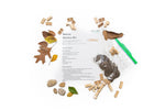 Load image into Gallery viewer, EcoBricks Bamboo Education Set 88pcs