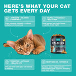 Load image into Gallery viewer, Cat Calming Treats 500 Crunchy Calming Cat Treats with Melatonin for Cats Valerian Root LTheanine Taurine & Probiotics Cat Vitamins and Supplements for Stress Anxiety Relief All Breeds