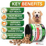 Load image into Gallery viewer, Probiotics for Dogs Digestive Enzymes for Good Health Itchy Skin 120 Chews