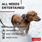Load image into Gallery viewer, Leather Dog Collar XSmall Dogs 8–11 in Neck x 0.5 in Wide Black