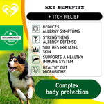 Load image into Gallery viewer, Dog Anti Itch Allergy Relief Chews Dry Itchy Skin Hot Spot Treatment with Omega3