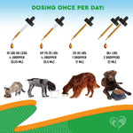 Load image into Gallery viewer, Oral Flea & Tick Drops for Dogs & Cats Multivitamin All Sizes
