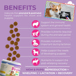 Load image into Gallery viewer, Dog Prenatal Vitamins 120 Soft Chews Folic Acid Zinc B-Complex DHA & EPA