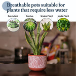 Load image into Gallery viewer, 4 Inch Terracotta Pot with White Leaf Pattern Boho Ceramic Planter Clay Pots for Indoor Plants Succulent Planter with Drainage Hole and Mesh Net Garden & Home Decor