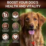 Load image into Gallery viewer, (2 Pack) Mushroom for Dogs 340 Chews Turkey Tail Mushroom Supplement for Dogs Lions Mane Reishi Immunity Support Multivitamin Vitamins Joint Health Energy Gut Skin Made in USA