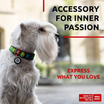 Load image into Gallery viewer, Nylon Dog Collar Adjustable All Sizes Breakaway Plastic Buckle & QR Tag Avocado