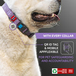 Load image into Gallery viewer, Reflective Cotton Dog Collar 12-19 inch Neck x 1 inch Wide Eco Friendly Alt to Nylon Collar for Small Medium and Large Dogs Pet Collar with QR ID Tag Puppy Collar for Large Breed Dogs Adjustable Male Female Dog Collar
