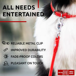 Load image into Gallery viewer, Rolled Leather Dog Leash 4 ft x 0.5 in All Sizes Red