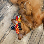 Load image into Gallery viewer, Orange Interactive Tug Toy for Dogs Mental Stimulation Toy Slow Play Treat Dispenser Brain Exercise for Puppies & Seniors Teething Relief Blue Orange Purple (Orange)