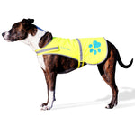 Load image into Gallery viewer, Reflective Dog Safety Vest Hi-Vis XL Size Neon Yellow
