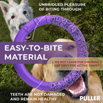 Load image into Gallery viewer, Puller Outdoor Dog Ring Toys Dog Fetch for Large Dogs Standard Size 2 Rings
