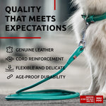 Load image into Gallery viewer, WAUDOG Rolled Leather Dog Leash 4Ft * 0.3 in for Small Medium and Large Dogs Heavy Duty Leather Puppy Leash for Outdoor Walking Running Training Strong Dog Leashes for Large Breed Dogs (Mint)