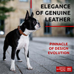 Load image into Gallery viewer, Brown Long Lasting Leather Dog Collar for Small Dogs Adjustable 1114 in Neck