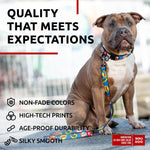 Load image into Gallery viewer, Nylon Dog Leash for Small Dogs and Medium Dogs 4 Ft Strong Dog Leash for Large Dogs Heavy Duty Dog Leashes for Large Breed Dogs & Puppy Leash for Small Boy & Girl Dogs