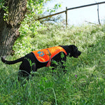 Load image into Gallery viewer, Reflective Dog Vest Hi-Vis XL Size 42 in Chest x 21.75 in Neck Orange