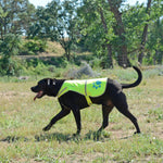 Load image into Gallery viewer, Reflective Dog Safety Vest Hi-Vis XL Size Neon Yellow