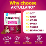 Load image into Gallery viewer, Dog UTI Treatment Cranberry Supplement Bladder Control 70 Soft Chews