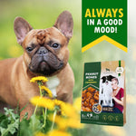 Load image into Gallery viewer, Dog Peanut Butter Bones with Cranberry Rawhide Free Chew Treats Pet Snacks
