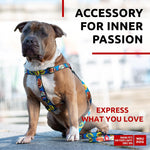 Load image into Gallery viewer, Nylon Dog Leash for Small Dogs and Medium Dogs 4 Ft Strong Dog Leash for Large Dogs Heavy Duty Dog Leashes for Large Breed Dogs & Puppy Leash for Small Boy & Girl Dogs
