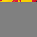 Load image into Gallery viewer, 2 Pack Mongolia Mongolian Flag 3x5 Ft LiteWeave Pro Series Printed 150D