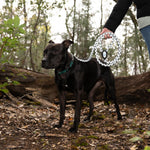 Load image into Gallery viewer, Reflective Dog Leash. Heavy Duty and Durable for Large and Medium Breeds. 6 Ft Long Rope Tangle Free Braided Leash with Comfortable Handle (Black)