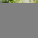 Load image into Gallery viewer, Purawex Mushroom Gummies, 20 in 1 Mushroom Complex 1050 MG, Cordyceps, Reishi,