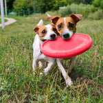 Load image into Gallery viewer, Dog Frisbee Toy Safe for Teeth Outdoor Floating Flying Disk for Small Medium Dog