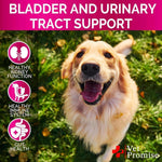 Load image into Gallery viewer, Dog UTI Treatment Cranberry Supplement for Dogs UTI Bladder Control 120 Chews