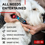 Load image into Gallery viewer, Nylon Dog Collar Adjustable Small Dogs 9–14 in Neck x 3/5 in Wide