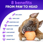 Load image into Gallery viewer, 20 in 1 Dog Multivitamin with Glucosamine Chewable Dog Vitamins and Supplements Senior & Puppy Multivitamin Chews for Pet Hip & Joint Support Immunity Mobility Skin Digestion 70 Soft Treats