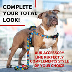Load image into Gallery viewer, Nylon Dog Leash for Small Dogs and Medium Dogs 4 Ft Strong Dog Leash for Large Dogs Heavy Duty Dog Leashes for Large Breed Dogs & Puppy Leash for Small Boy & Girl Dogs