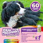 Load image into Gallery viewer, Prenatal Vitamins for Dogs & Cats 60 Pills Folic Acid & Minerals