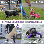 Load image into Gallery viewer, Dog Ring Fetch Toy Small Dogs Mini Size 2 Rings Purple