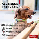 Load image into Gallery viewer, Leather Dog Collar Adjustable All Sizes Buckle D-Ring & QR Tag