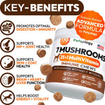 Load image into Gallery viewer, Mushroom Chews Supplement Multivitamin for Dogs Vitamins Health