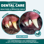 Load image into Gallery viewer, Dog Dental Powder Breath Freshener Dog Teeth Cleaning Powder Tartar and Plaque Off Remover for Dogs Probiotics Multivitamin Blend Pet Oral Care Vitamins and Supplements All Breeds & Sizes