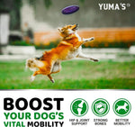 Load image into Gallery viewer, 2 Pack Glucosamine for Dogs with Chondroitin Joint Pain Relief Made in USA