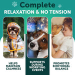 Load image into Gallery viewer, Calming Chews for Dogs 70 Treats Anxiety Relief Treats with Hemp Oil Turmeric