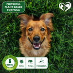 Load image into Gallery viewer, Flea & Tick Collar for Dogs 6-Month Protection Essential Oil Repellent 1 Pack